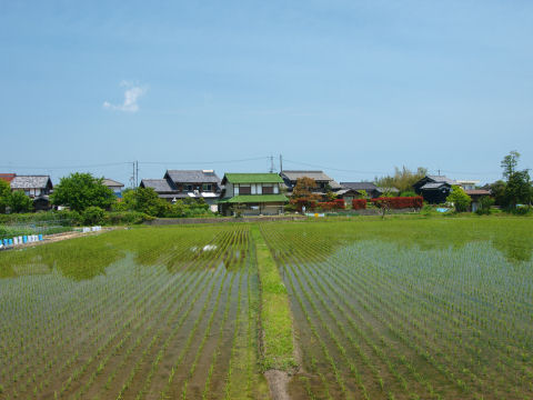 家と水田が近い