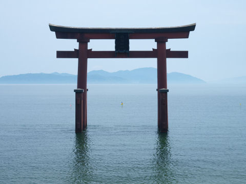 逆光でイマイチ