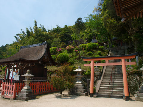 上に登れるがすぐ終わる