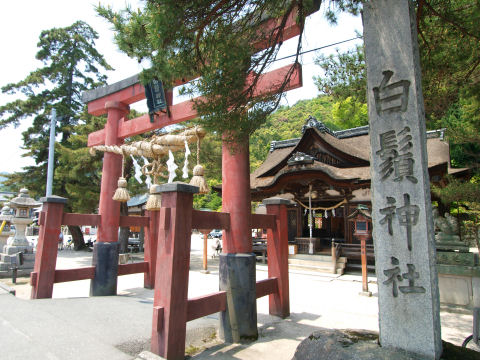 湖中鳥居とここの間には交通量の多い道路がある