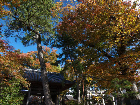 参道から横を向いてみる