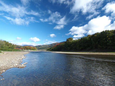川遊びに適していそうな川