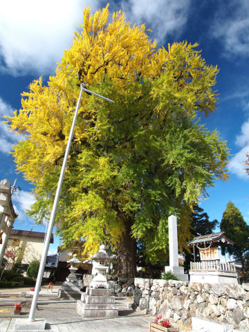 遠くから見て「デカッ」