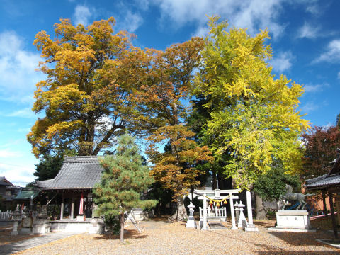 野神ほどでないにせよでかい