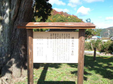 昔はもっとすごかったっぽい