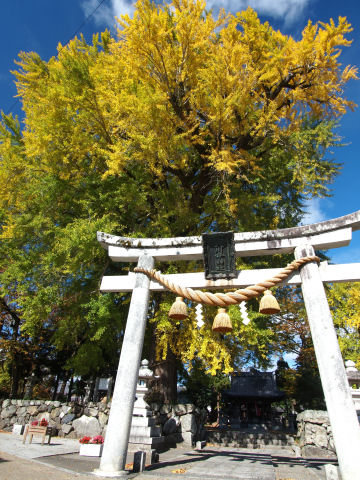 鳥居の上にあるのも意外によい
