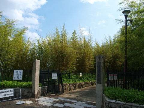 駐車場に車は全くなかった