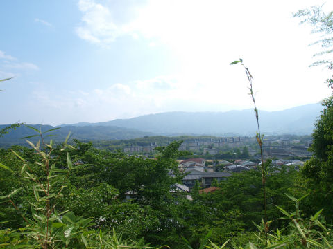 ずらっと並ぶ洛西の団地