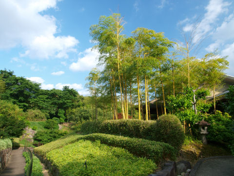 撮影は帰りだけど