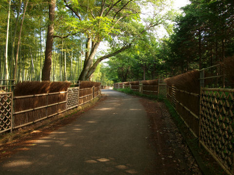 来迎寺垣 しましま
