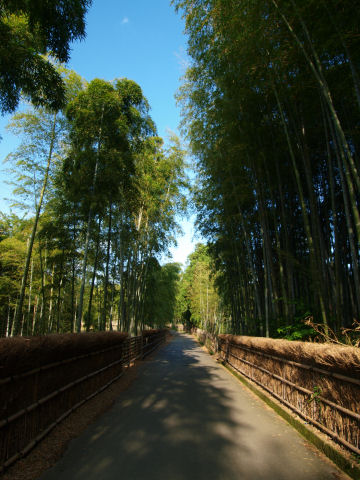 竹穂垣 素朴ながら最も風情ある