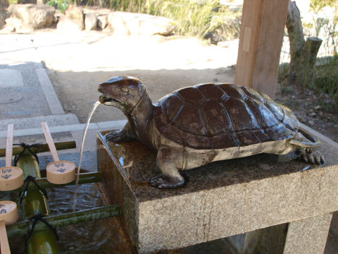 雄雄しく水を吐き出す亀
