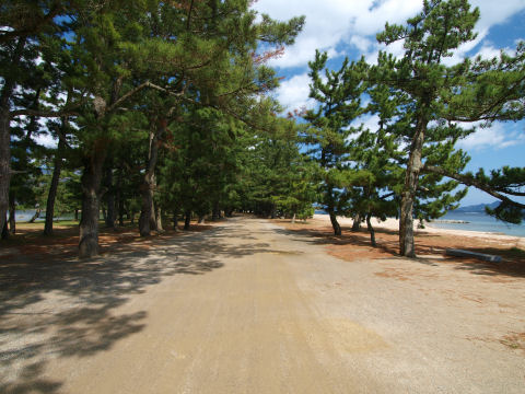 すっと伸びている道