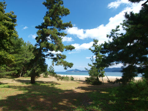 ヤシの樹が生えてたらハワイチックだったろう