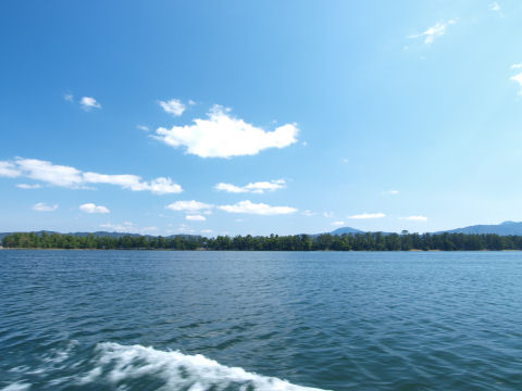 天橋立の松並木