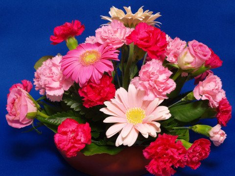 バラ，カーネーションなどなど