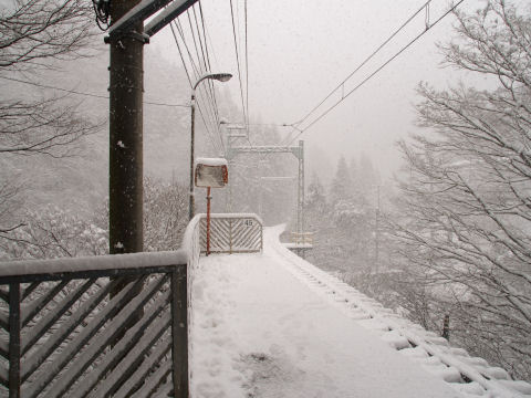 これでも京都市内