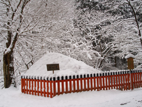 赤い柵は目立つ