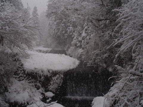 ときおり吹雪きます