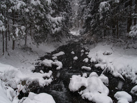 雪の川の撮影には事欠かない