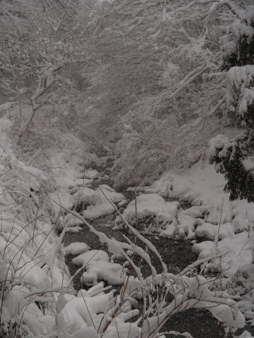 今回唯一のポートレート