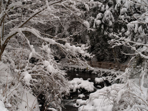 竹の柵は風情ある