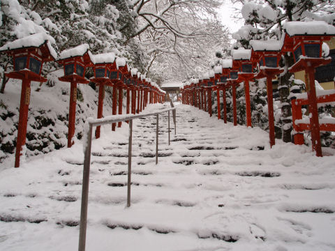 ずらっと並ぶ燈籠