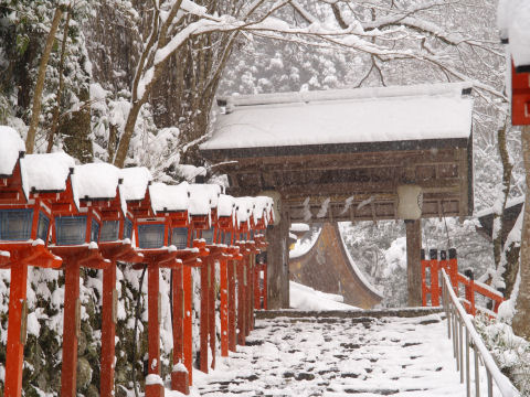 また降ってきた