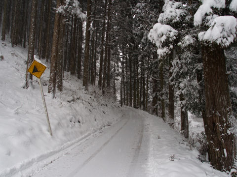 来た中で一番奥