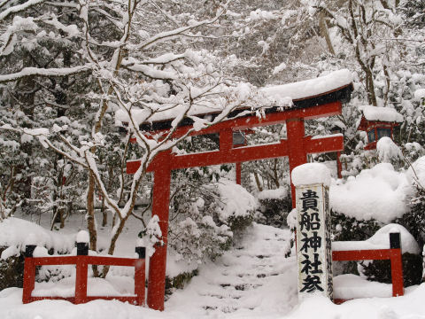 普通はこっちから参拝しない