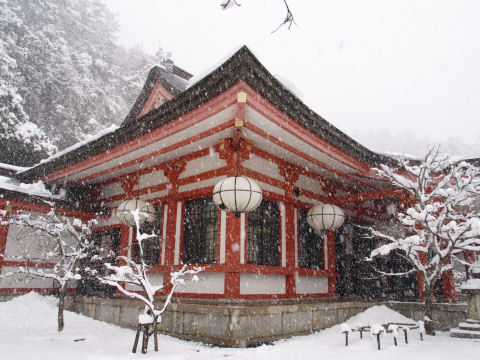 また吹雪いてきた