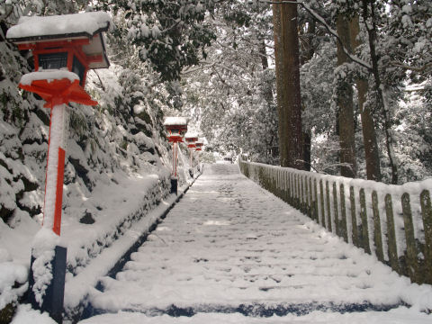 と思いきやまだ階段が