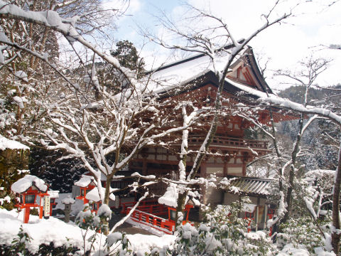 裏の駐車場から