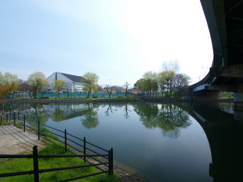 青空見えるも若干薄い雲が