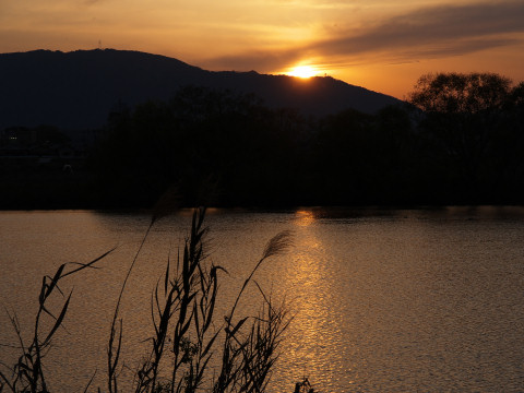 沈む夕日