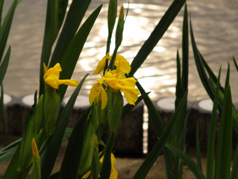 曇りなので反射が柔らかめ