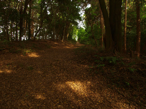 「もうすぐ もうすぐ」と言いながら，なかなか着かなかった