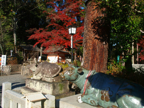天満宮とセットの牛