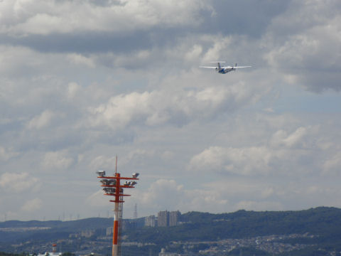 撮るの難しそう