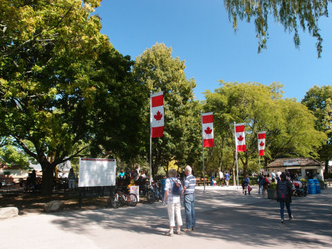 散歩じゃ退屈な子供用