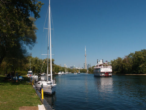 島中から見えるCNタワー