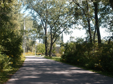 カナダチックな道