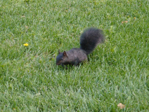 ちょうどよい大きさで撮れるほどには近づけない