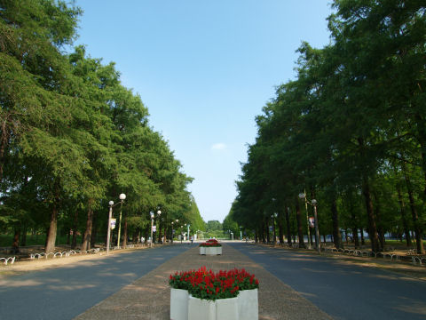 帰るときは動いてたけど