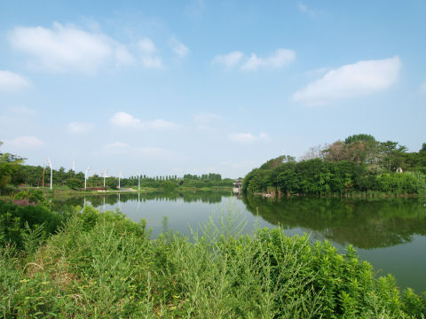 オブジェの中には入れなかった