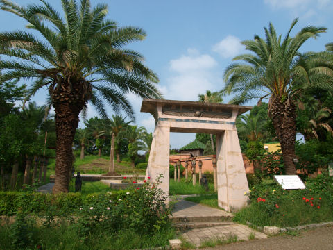 でも暑いし逆光だしで回る気しなかった