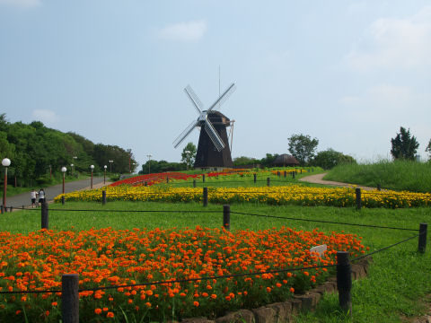 自転車で行けない場所なので大変だった