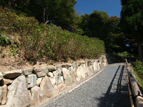 後回しにしてきた