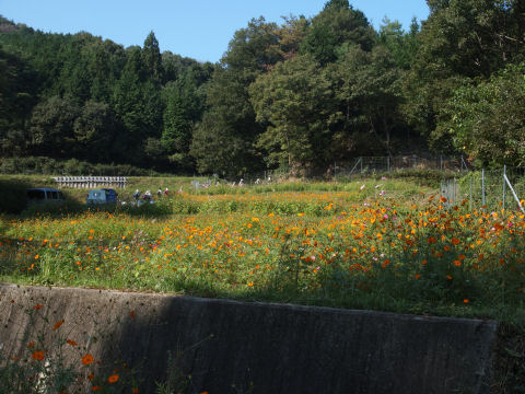ハイキング部隊
