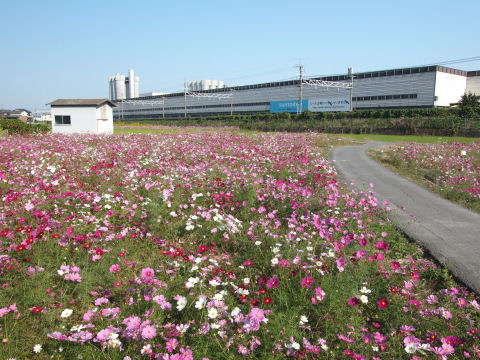 サントリービール工場